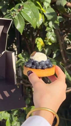 Tartelette aux myrtilles avec une garniture de crème, tenue par une main devant un feuillage vert en arrière-plan.