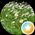 Fel Adi's profile picture