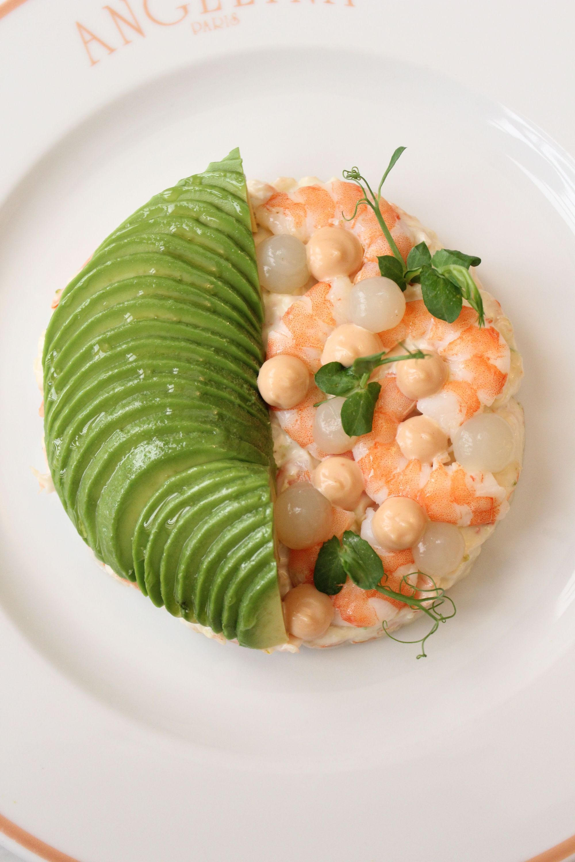 Tartare avocat et crevettes servi sur une assiette avec logo Angelina Paris sur le rebord.