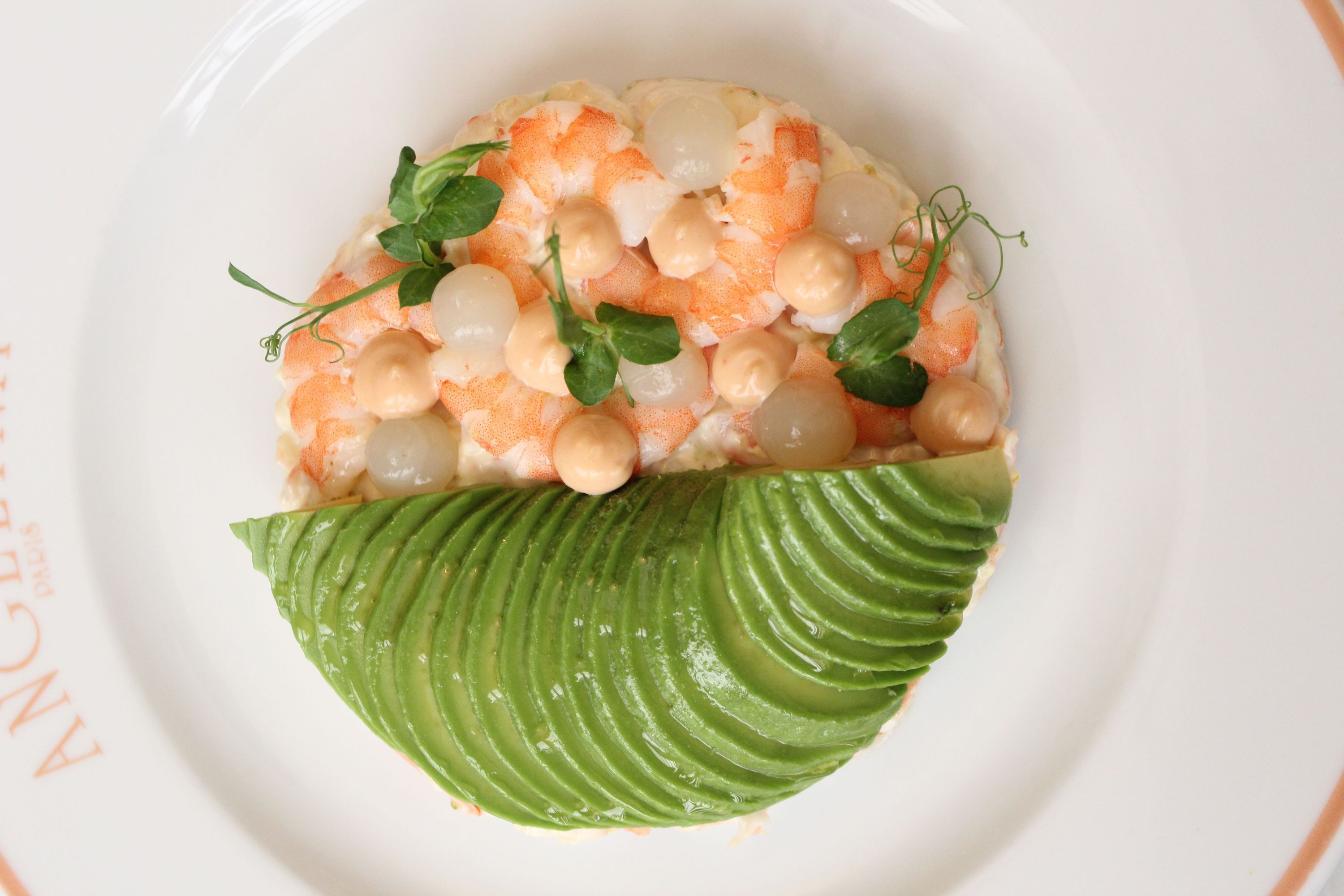 A dish featuring sliced avocado and shrimp garnished with small green leaves served on a white plate.